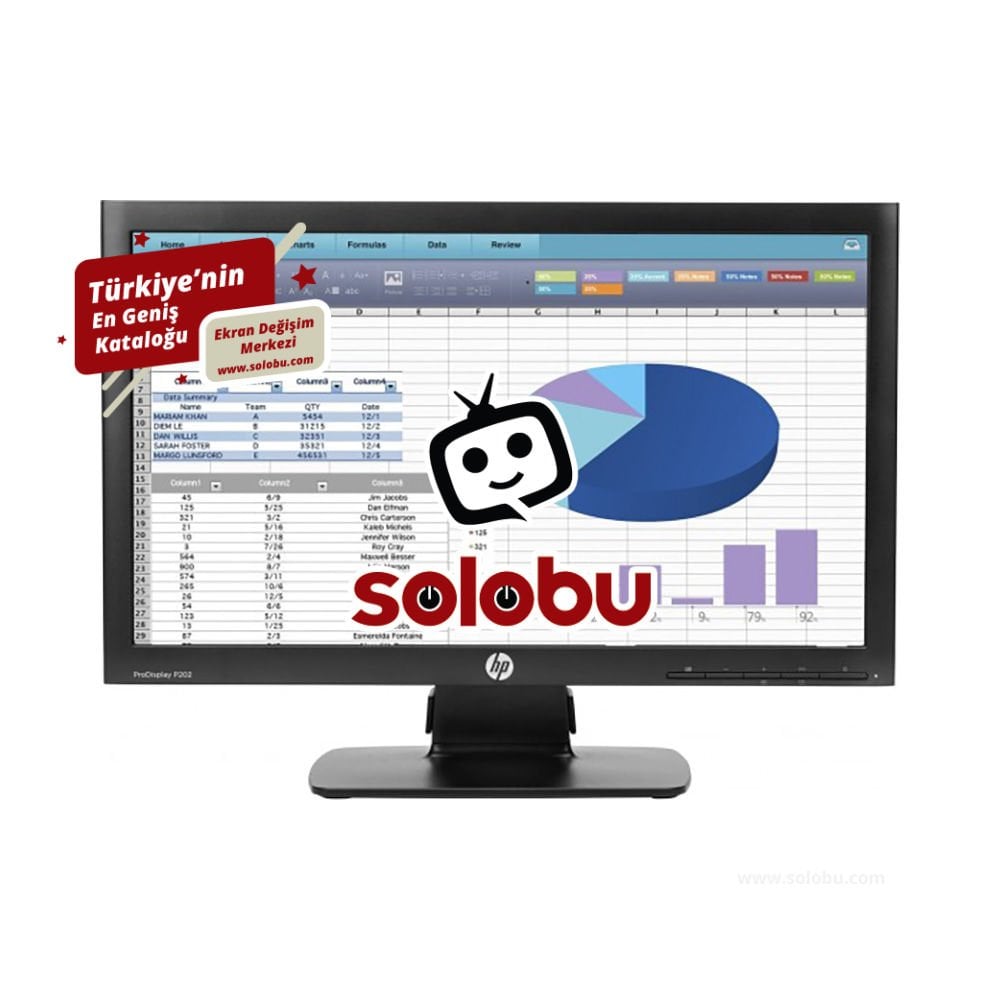 HP ProDisplay P202 (K7X27AA) Monitör Ekran Değişimi